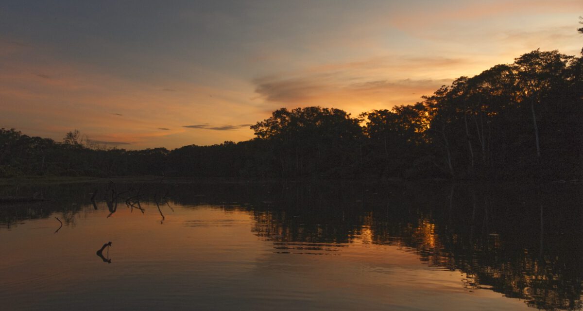 Plan Your Trip To Ecuador’s Limoncocha Biological Reserve