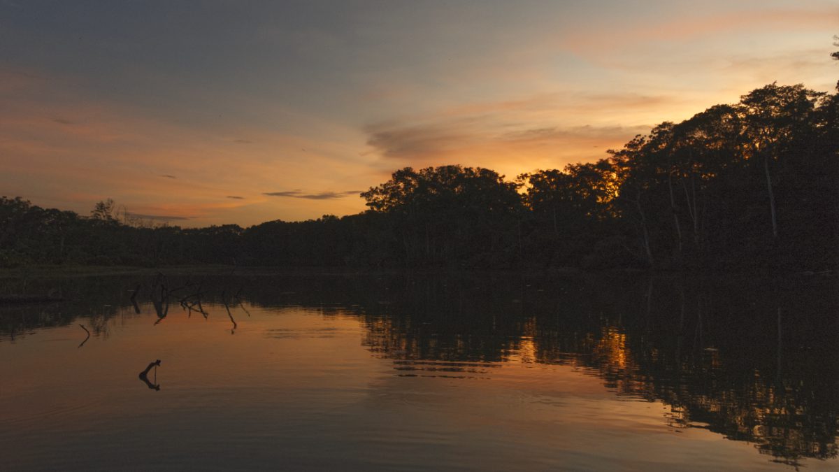 Sunset in peaches and dusky blue reflected in the lake at the Limoncocha Biological Reserve