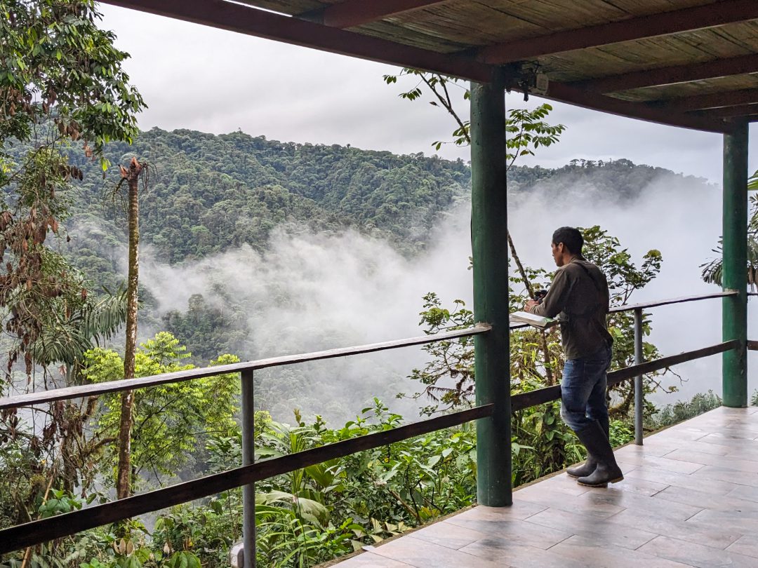 Sergio observing birds in the nearby trees from the patio at Mashpi Amagusa