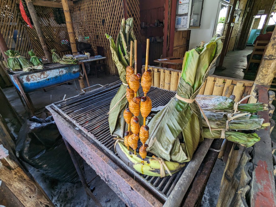 Skewered and roasted grubs offered upright on a grill beside a banana leaf wrapped specialty of Coca, Ecuador