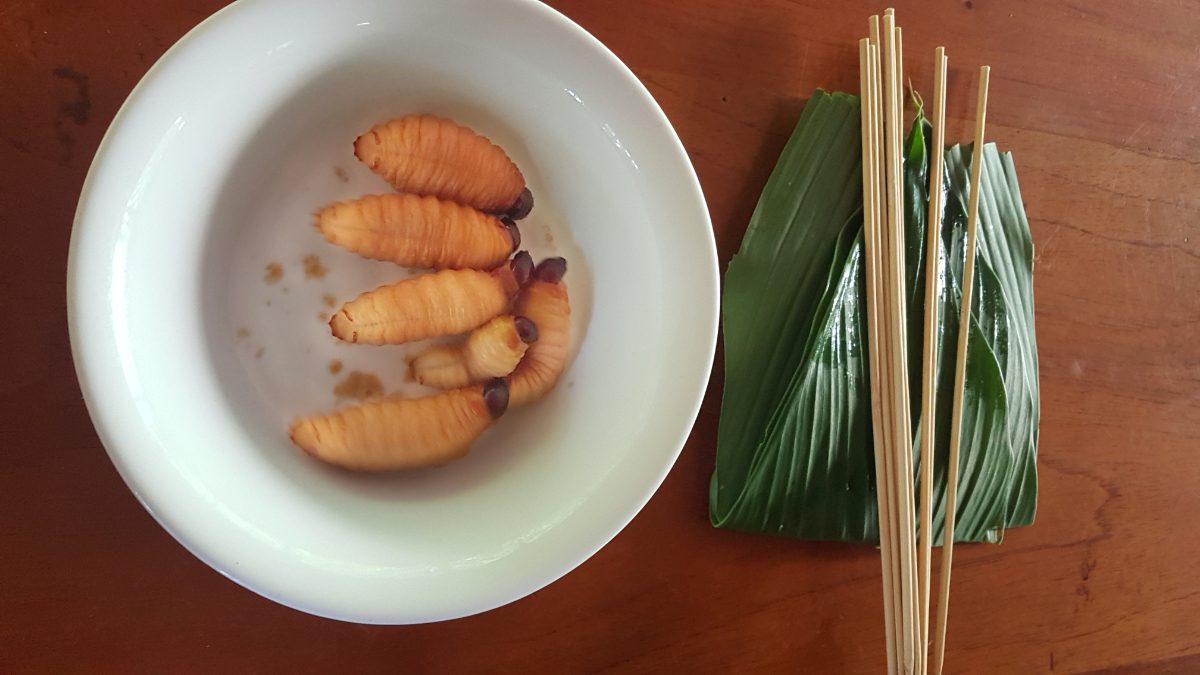 A bowl of edible grubs lies alongside skewers and a banana leaf