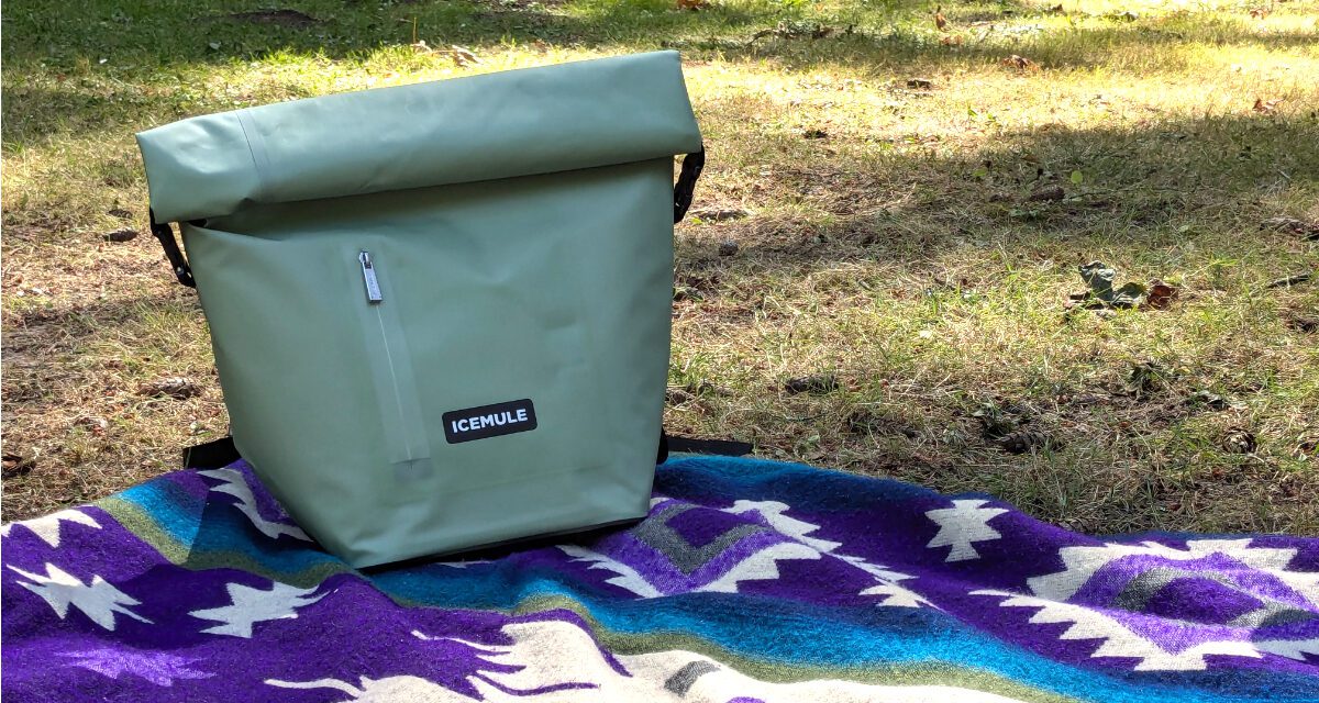 Do you really need ICEMULE’s Ultra-Portable Backpack Cooler?