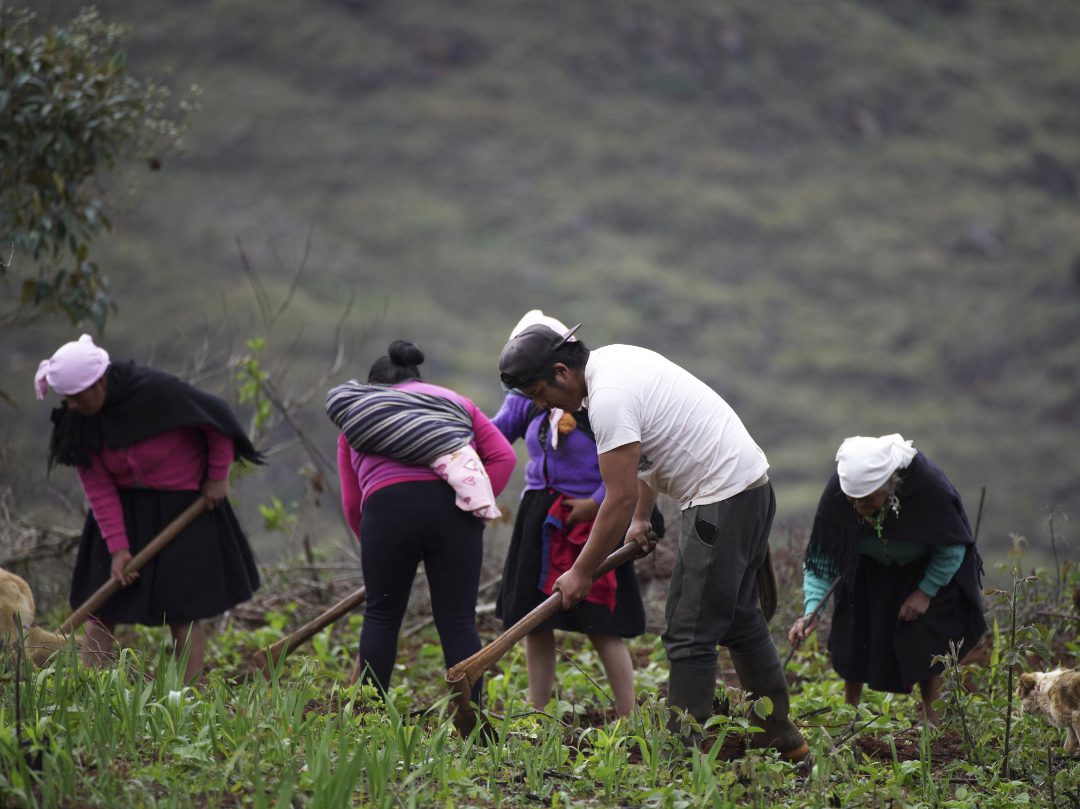 A small group of villagers use hand tools to hoe weeds in the field