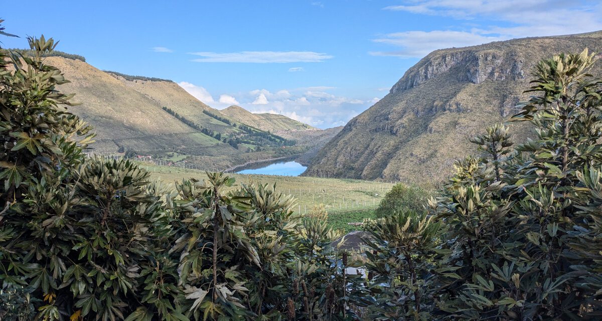 Protecting the Guardians of the Andes: Support Tambo Condor’s Interpretive Center