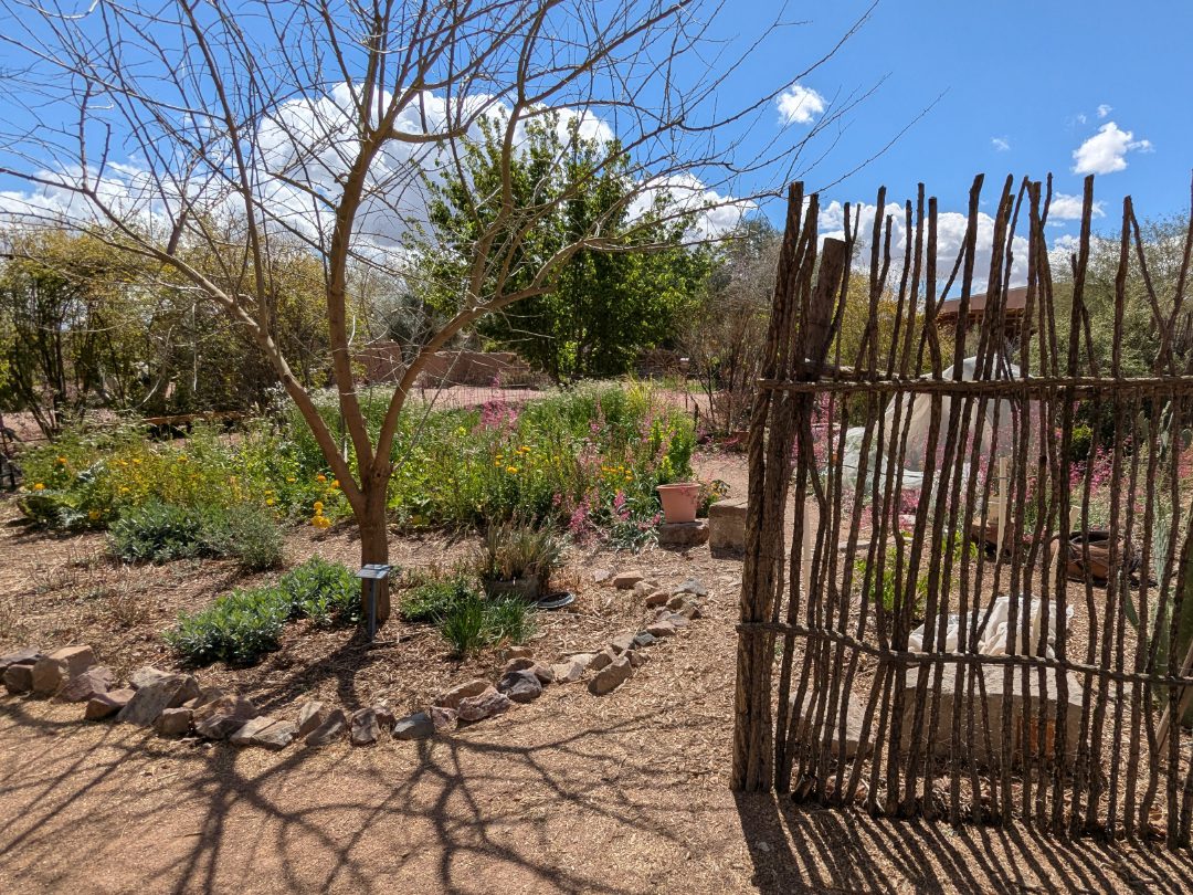 Mission Garden A fence made of twigs shades a portion of a garden in Tucson, Arizona