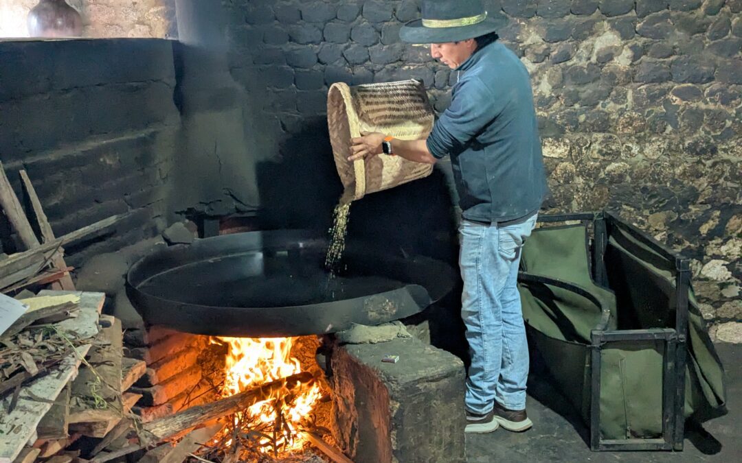 Máchica: The Next Andean Superfood?