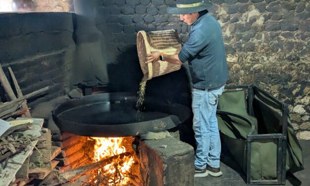 Máchica: The Next Andean Superfood?