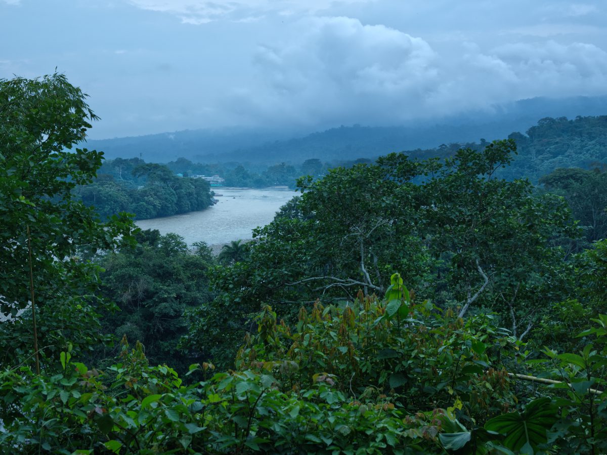 View from the EcoSelva Orchid Garden The view from the Eco Selva Orchid Garden takes in a bend of Napo River with a peekaboo view of Misahualli