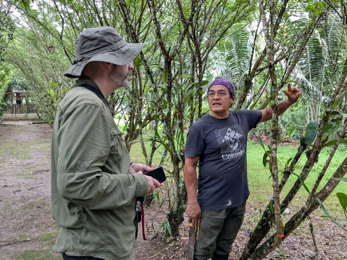 Pepe in his element, talking about orchids Pepe talking to Scott about a tiny orchid clinging to a tree.