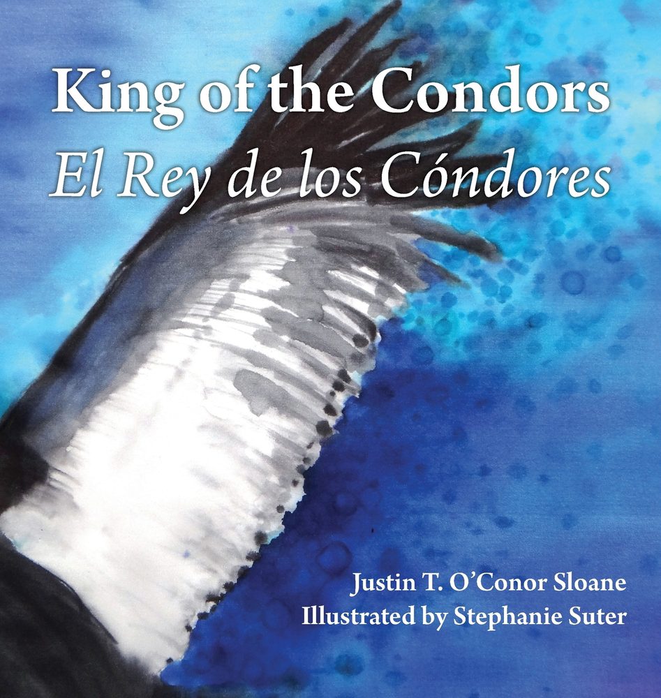 Front Cover of King of the Condors Front Cover of King of the Condors by Justin Sloane