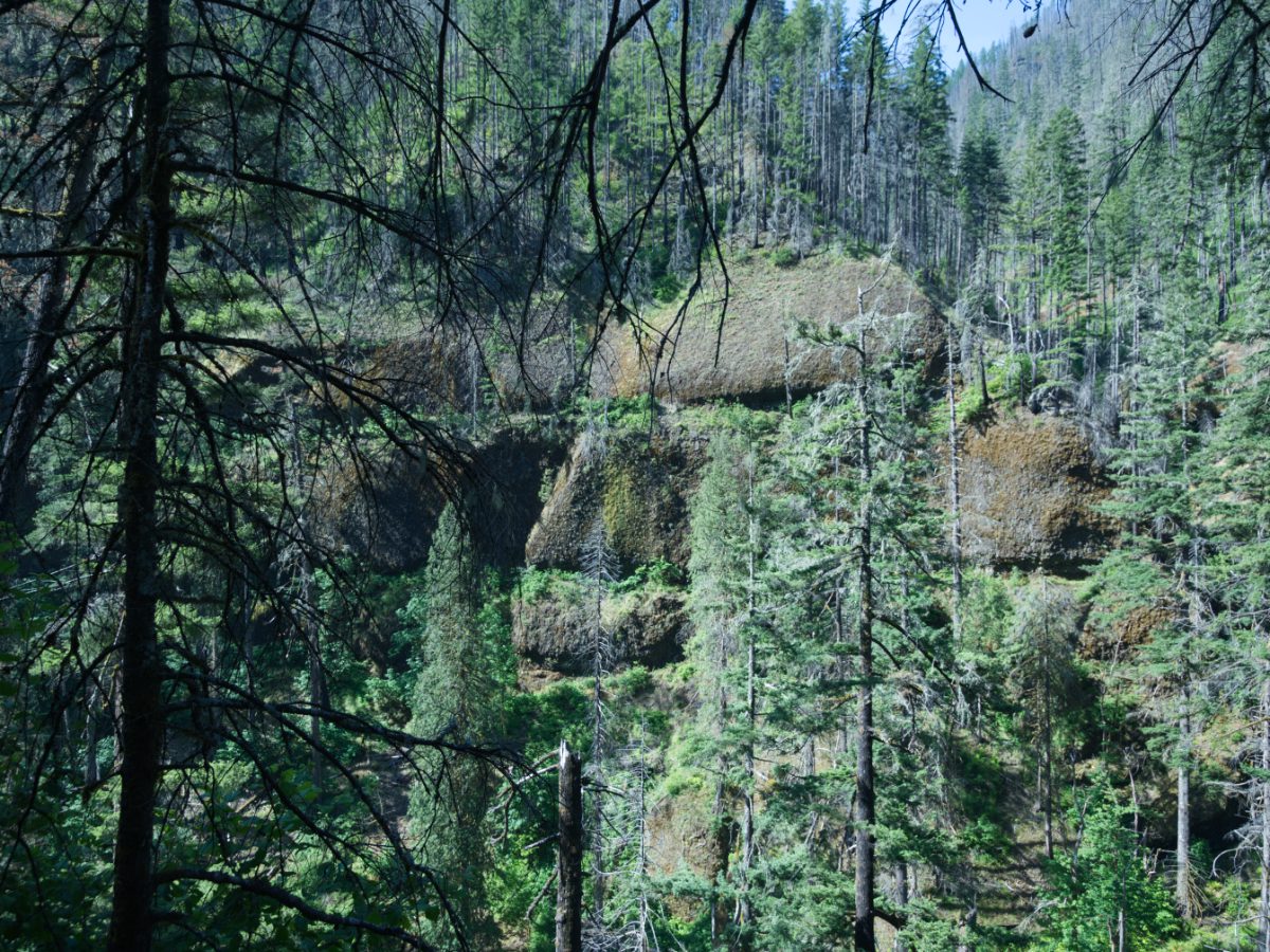 Basalt Rock Formation | ©Angela Drake Basalt rock formation along Eagle Creek Trail
