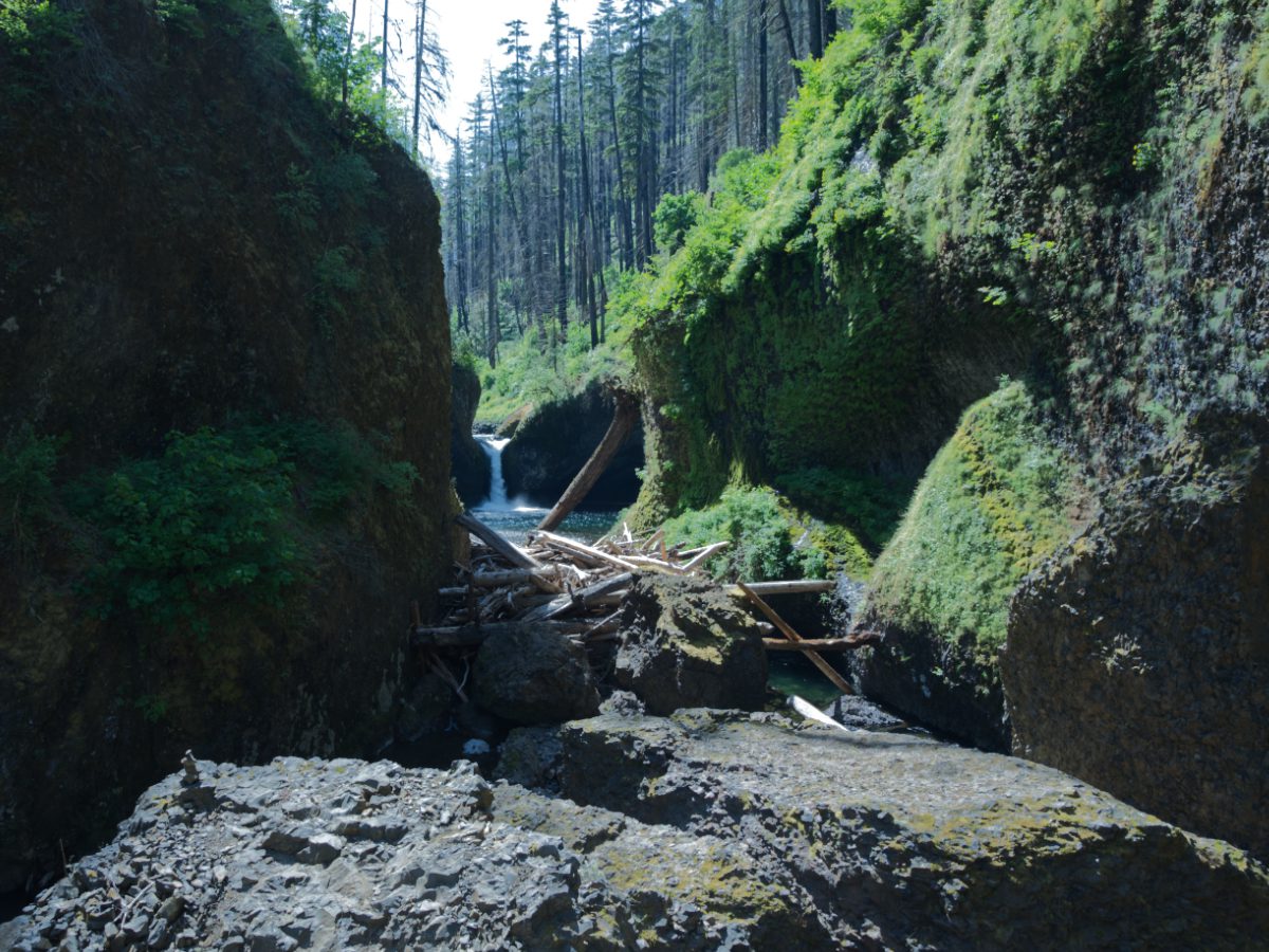 Punch Bowl Falls, Eagle Creek Trail | ©Angela Drake From the view point across Eagle Creek, it is possible to photograph Punch Bowl Falls.
