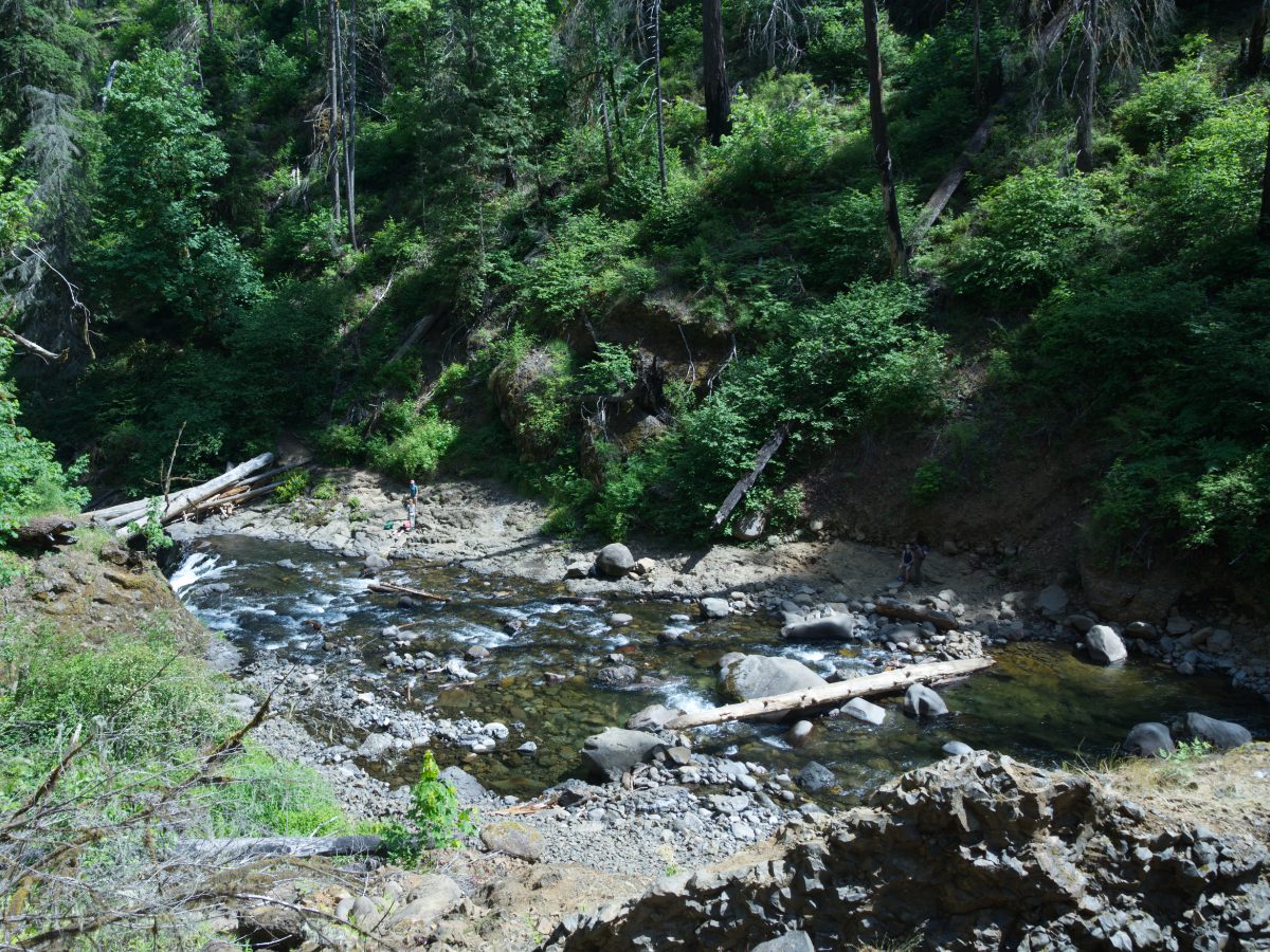 Looking down at the log crossing Eagle Creek Looking down at the log crossing Eagle Creek in order to photograph Punch Bowl Falls