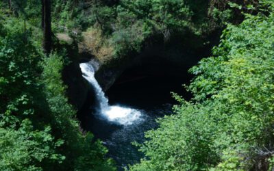 Chasing the Best View of Punch Bowl Falls
