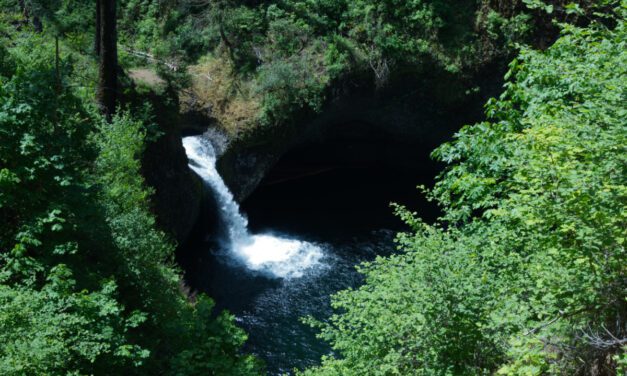 Chasing the Best View of Punch Bowl Falls