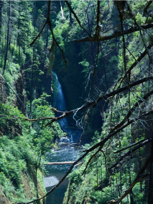 Or is this Matlako Falls? Unknown waterfall along the Eagle Creek Trail