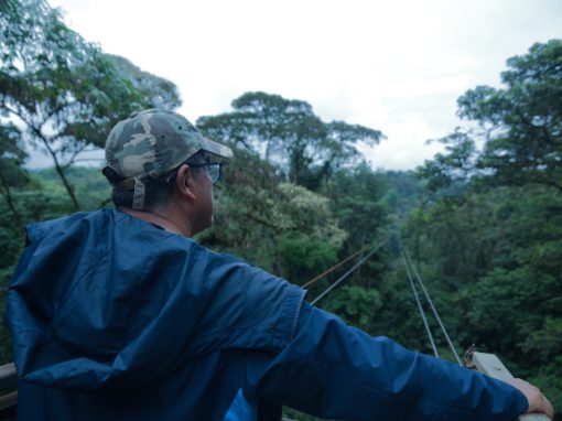Jose looking out through the tree canopy as the cable car crossed the river valley.