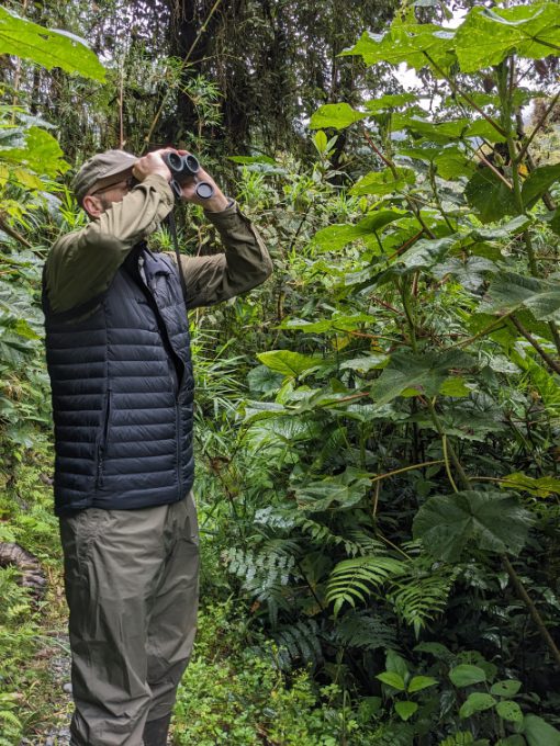 Scott wearing a Craft Sportswear Men's ADV Explore Light Down Vest while birdwatching in the Amazon.