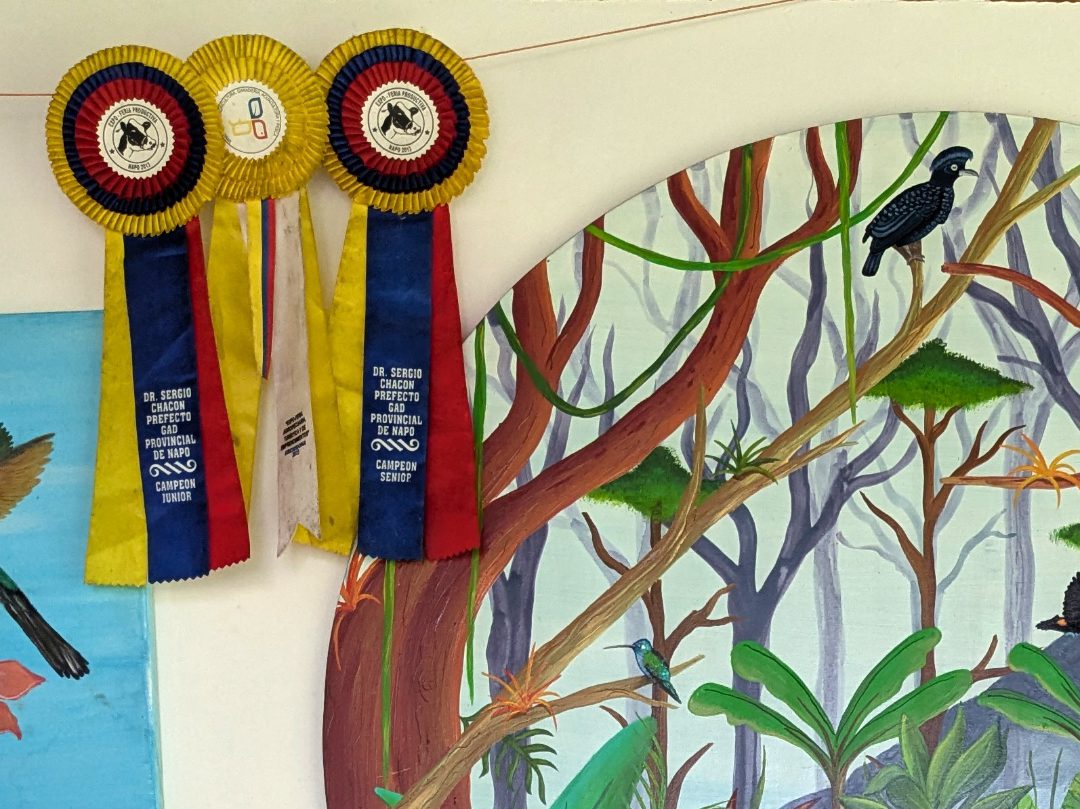 Three ribbons awarded for having champion cattle hang next to a mural of birds.