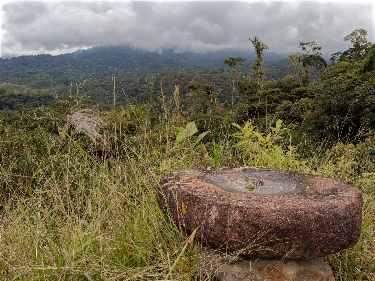 Stone basin with sprigs of purple verbena, overlooking the Eastern Andes under a cloudy sky.