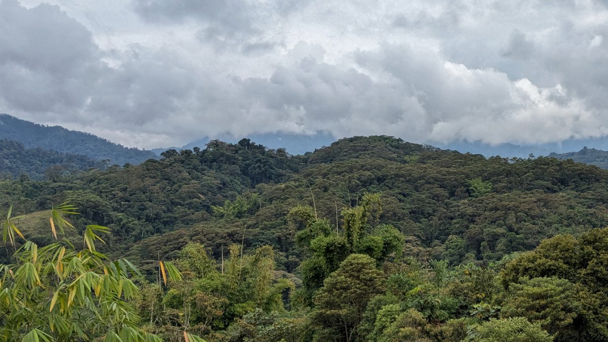 View of the Andean East Slope foothills near the Guacamayo Ridge as seen from the Wayra Reserve