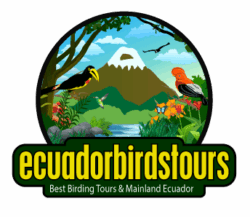 Ecuador Birds Tours Logo