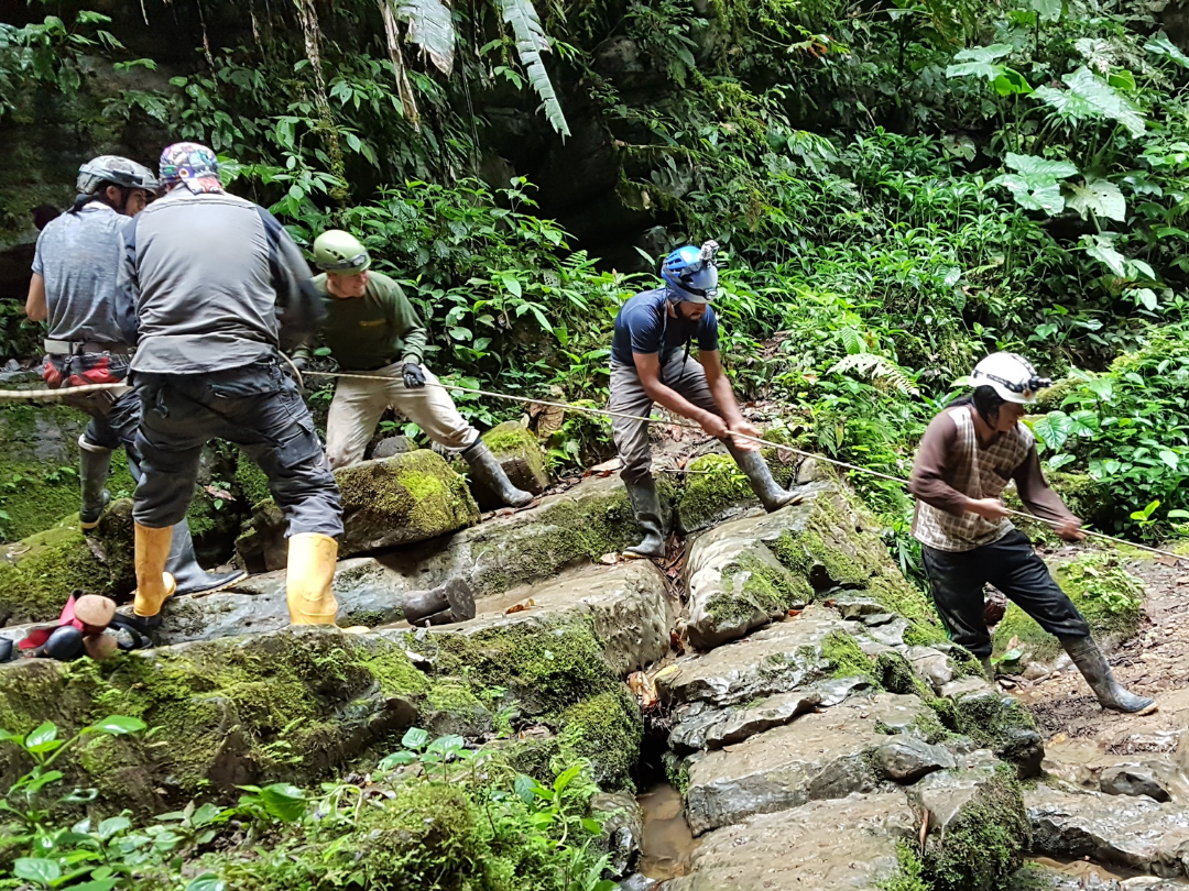 Descending through ropes to the cave of the tayos.