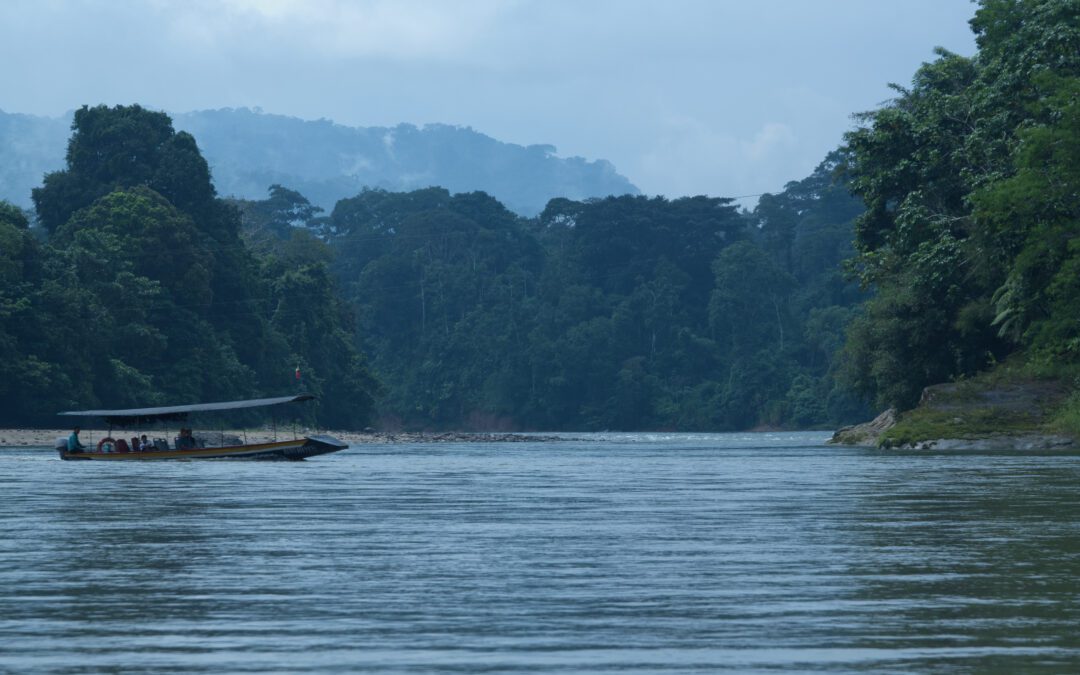 Ama EcoLodge Offers Easy Access to Ecuador’s Amazon