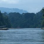 Ama EcoLodge Offers Easy Access to Ecuador’s Amazon