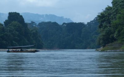 Ama EcoLodge Offers Easy Access to Ecuador’s Amazon