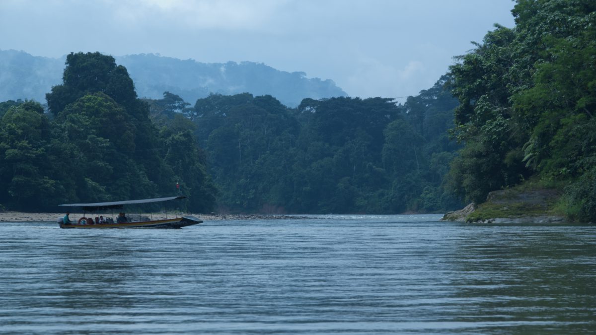 A motorized canoe heads down the Napo River at Puerto Misahualli, Ecuador