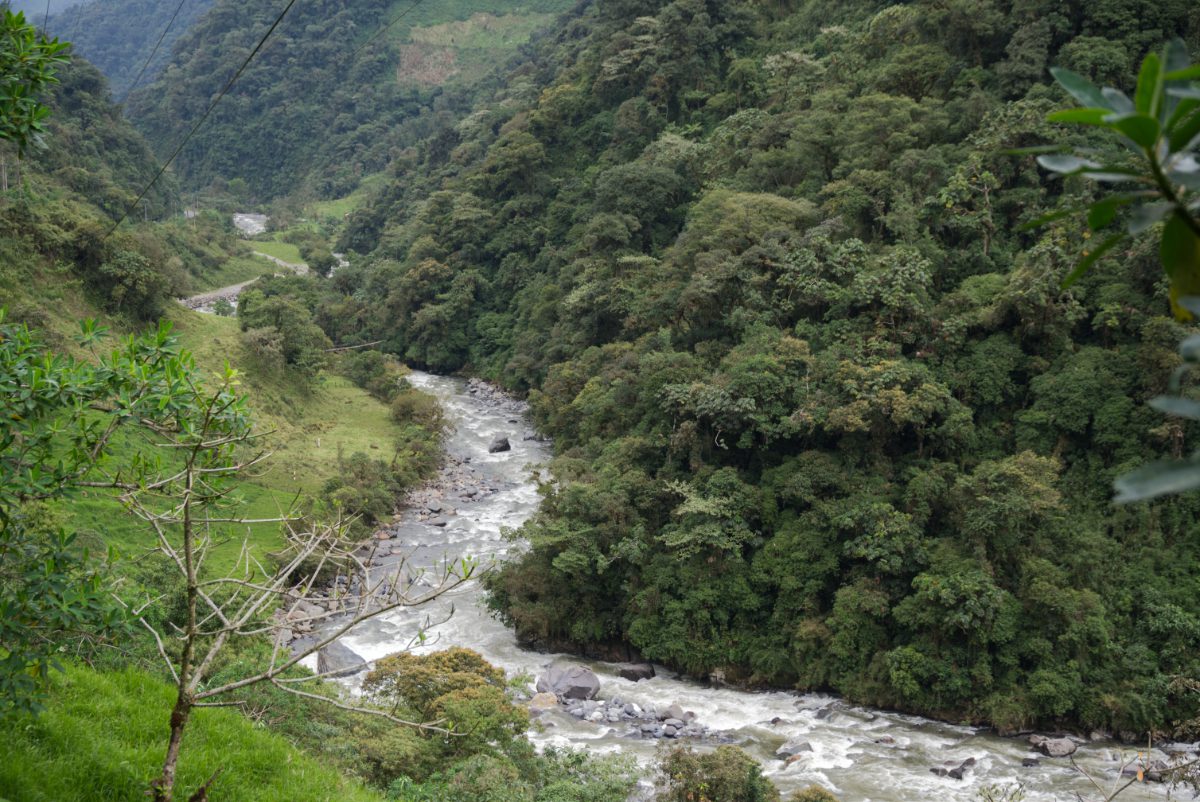 The Rio Quijos river divides a well-traveled highway from primary cloud forests.
