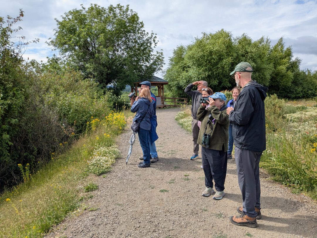 A group of birders takes turns with the AX Visio Binoculars at Fernhill Wetlands in Forest Grove, Oregon.