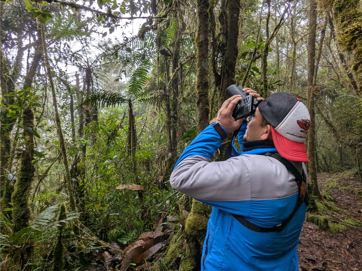 Roberto, a guide at Abra Patricia, using smart binoculars in the cloud forest.