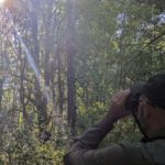 Testing the Swarovski AX Visio: Smart Binoculars in the Wild