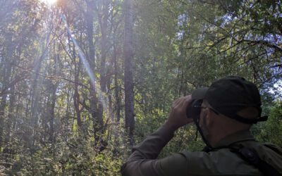 Testing the Swarovski AX Visio: Smart Binoculars in the Wild