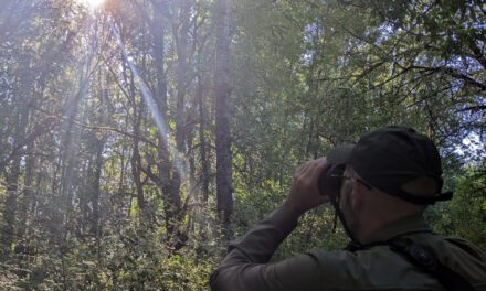 Testing the Swarovski AX Visio: Smart Binoculars in the Wild