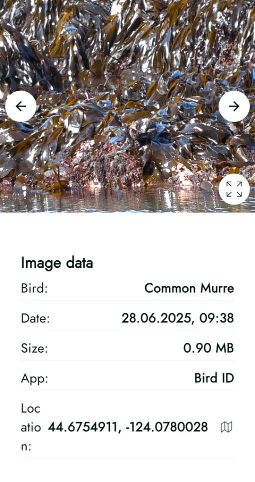 Screenshot of the AX Visio ID of a mis-identified Harlequin Duck