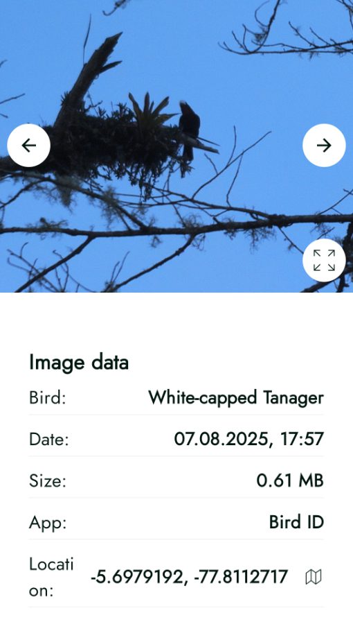 Screenshot of the AX Visio ID of a White-capped Tanager