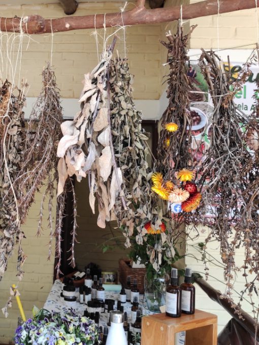Herbs and essential oils at MERCADAGRO near Cali, Colombia