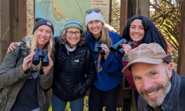 Our Basic Birdwatching Kit: For Beginners and Beyond