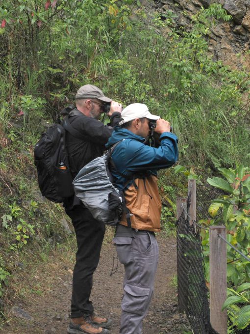 Two men wearing backpacks while looking through binoculars