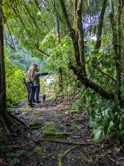 While hiking in the Ecuadorian East Slope, our guide points out an item of interest to Scott