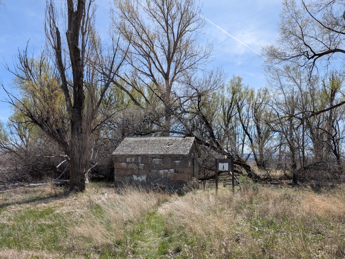A small cabin built from stone blocks sits among a grove of early leafing trees.