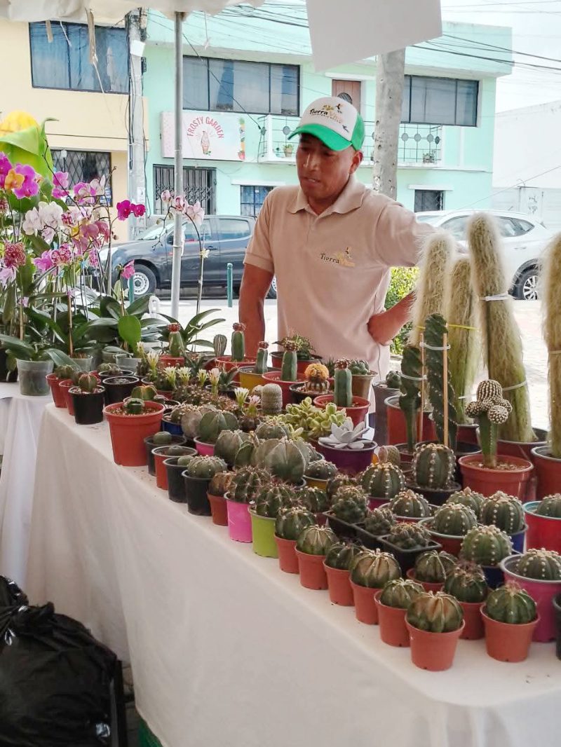 Dario Quija selling cactus and succlents at Tierra Viva in Nayon, Ecuador