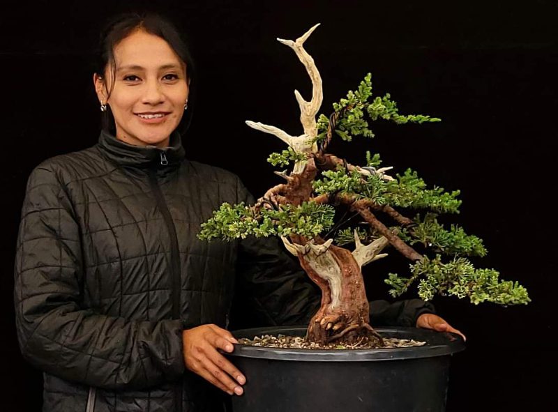 Mayra Andrango with a sample of her spectacular bonsai art