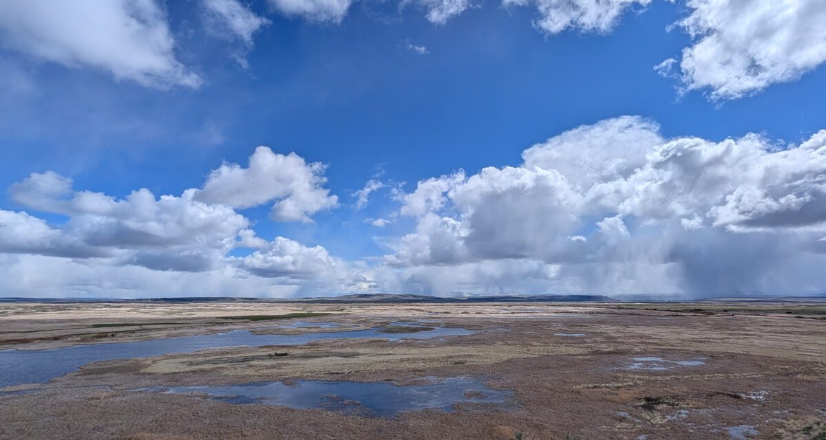 A Beginner’s Guide to the Harney County Migratory Bird Festival