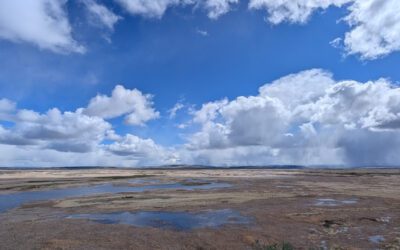 A Beginner’s Guide to the Harney County Migratory Bird Festival