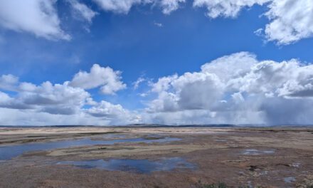 A Beginner’s Guide to the Harney County Migratory Bird Festival
