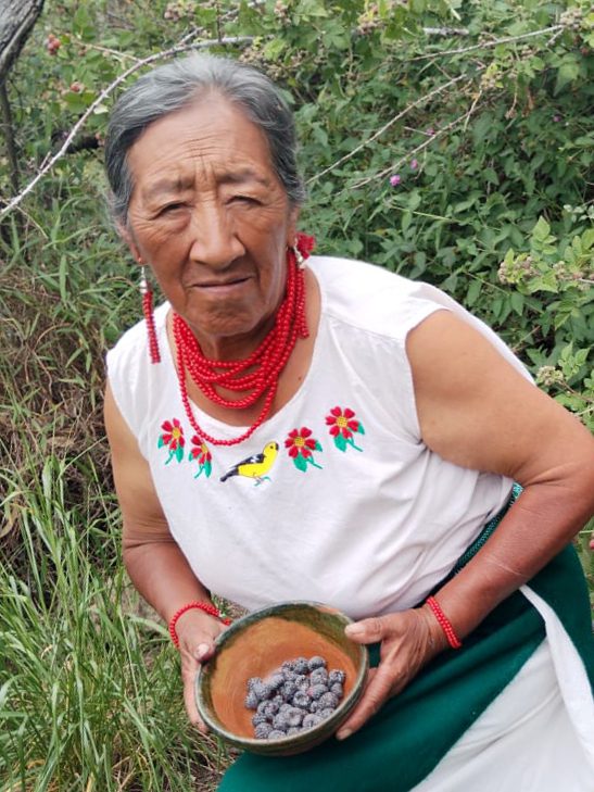 Rosita Luguaña collecting seeds.